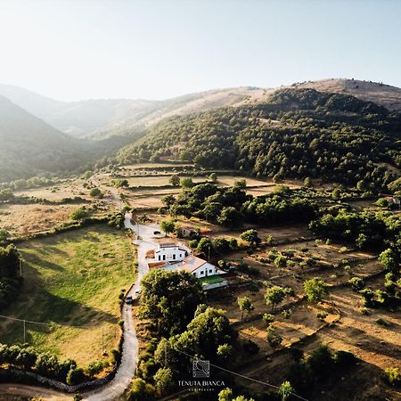 Tenuta Bianca Agriresort Sanza Exterior foto